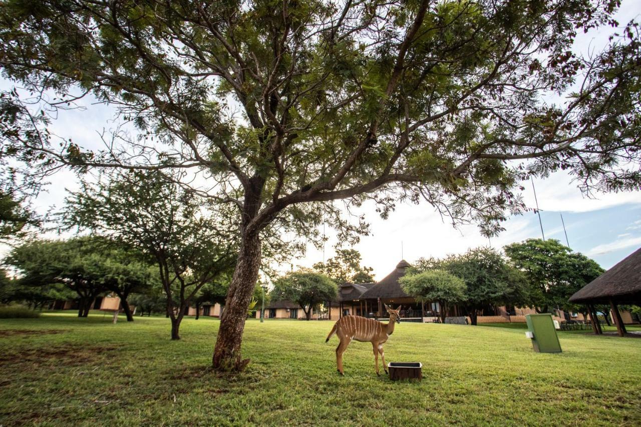 Lapeng Guest Lodge 伯格斯堡 外观 照片